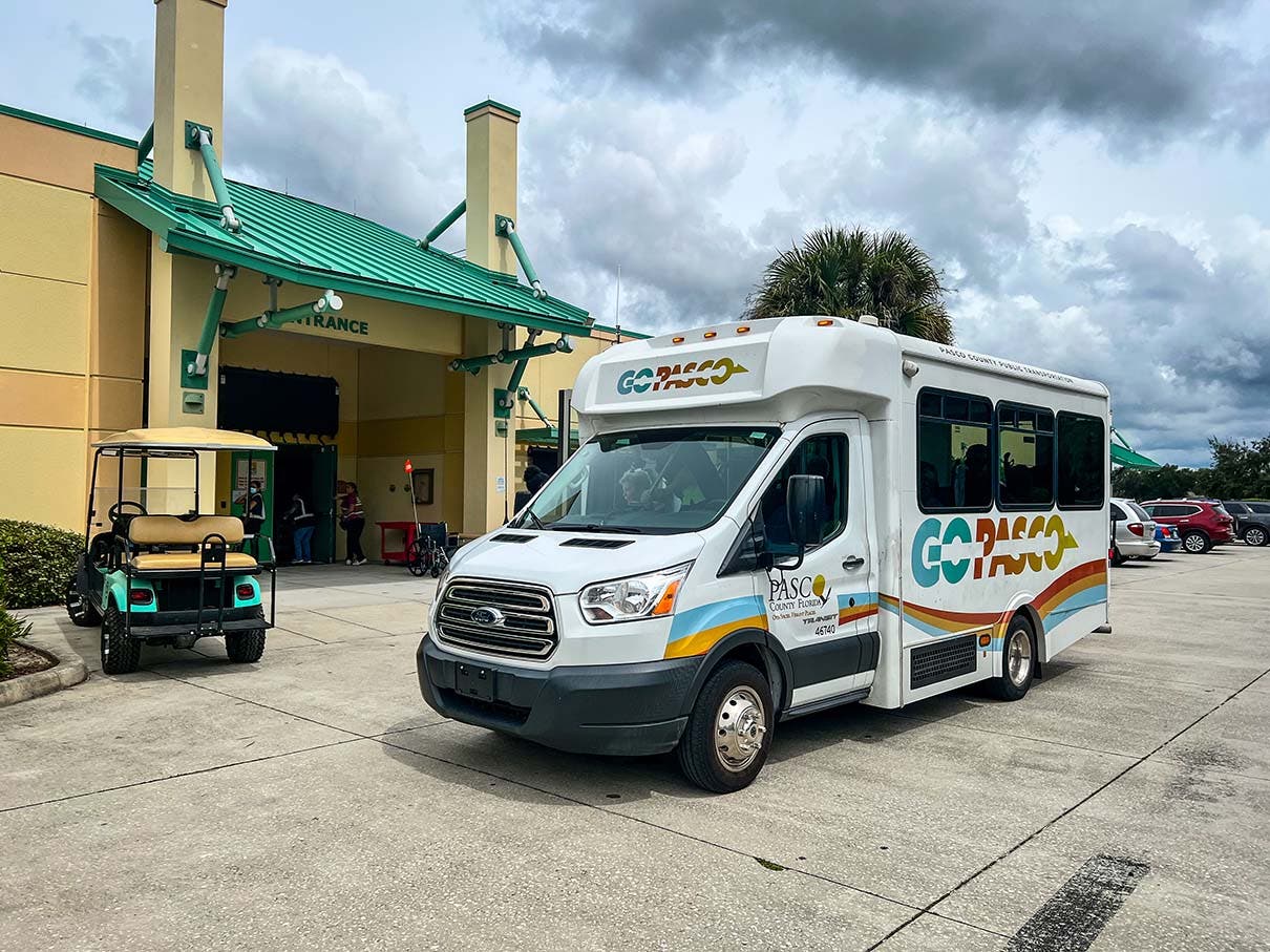 Hurricane Idalia Pasco Declares Mandatory Evacuations, Closes Schools